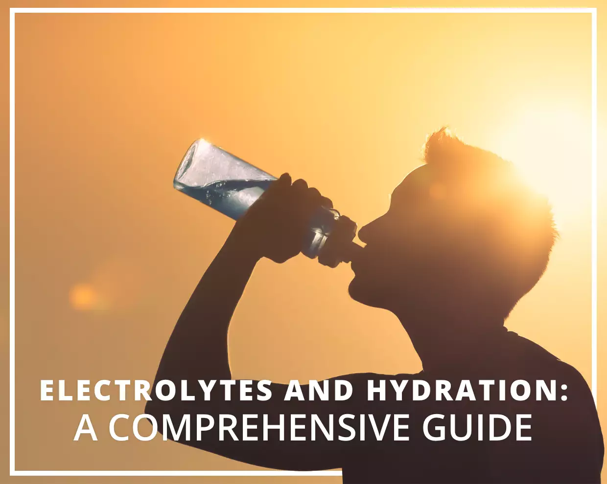 Electrolytes and Hydration: A Comprehensive Guide