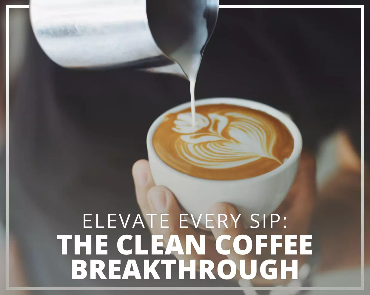 Elevate Every Sip: The Clean Coffee Breakthrough
