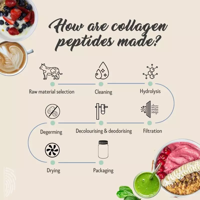 Learn how collagen peptides are made via a process of hydrolysis, filtration, drying and packaging.