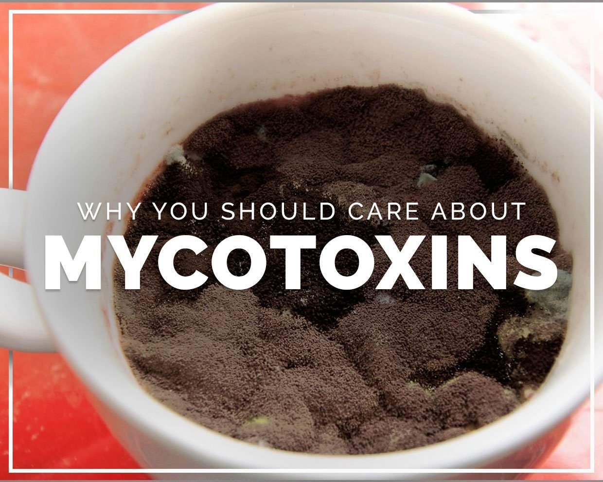 Why you should care about mycotoxins