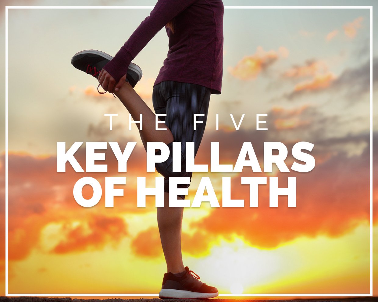 DRESS protocol: The five key pillars of health