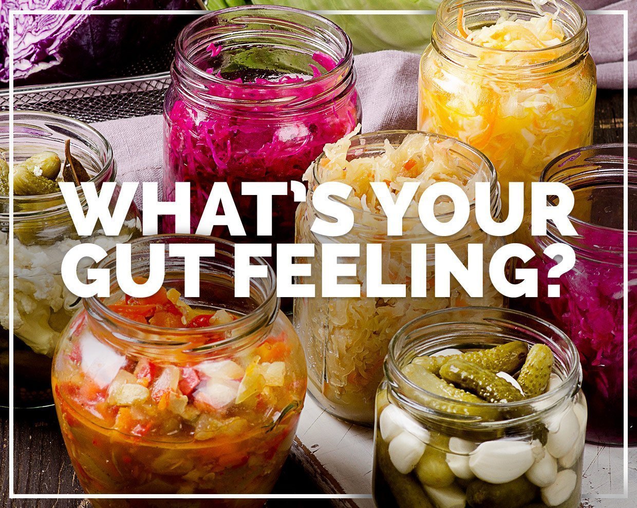 What's Your Gut Feeling