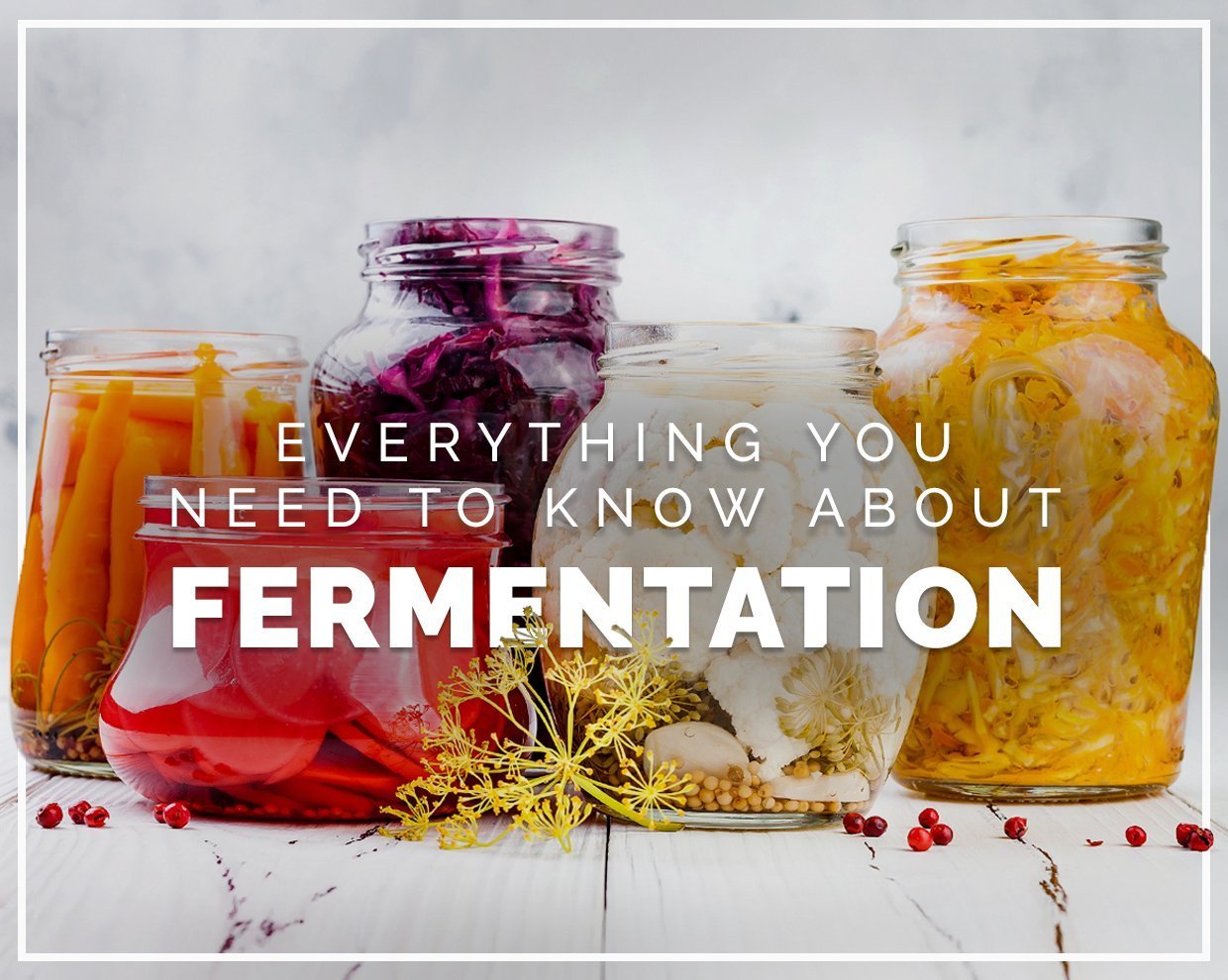 Everything you need to know about fermentation 