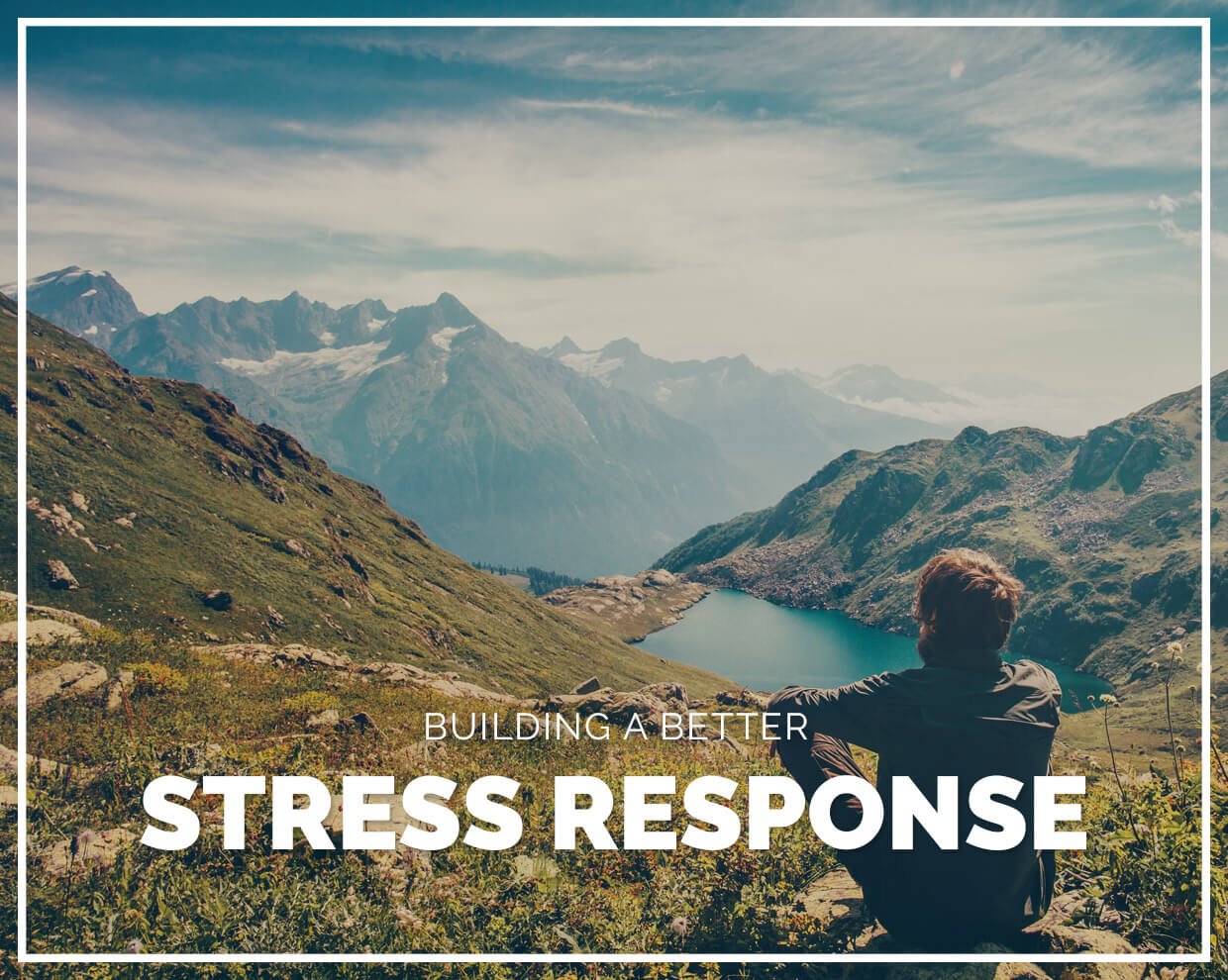 Building a better stress response blog image